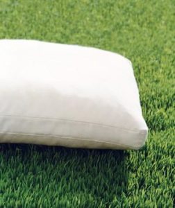 pillow-grass_300