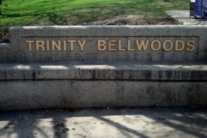 trinity-bellwoods2